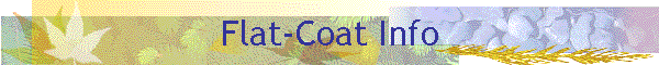 Flat-Coat Info